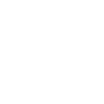 vertices partners